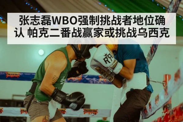 Zhang Zhilei boxing