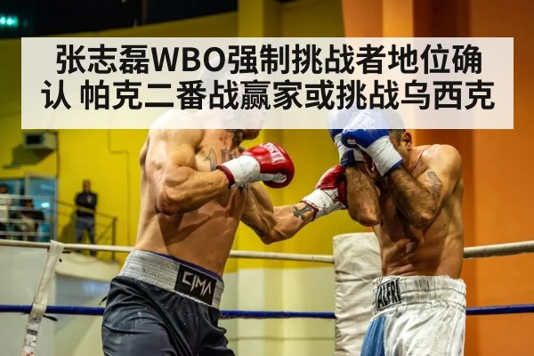 heavyweight boxing fight