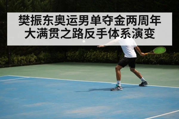 樊振东奥运男单夺金两周年 大满贯之路反手体系演变